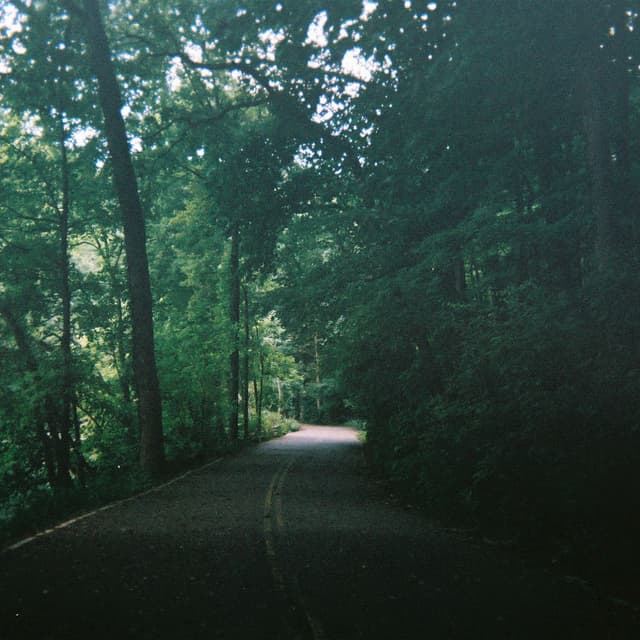leave cover