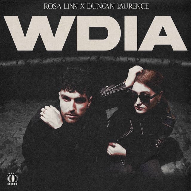 WDIA (Would Do It Again) cover