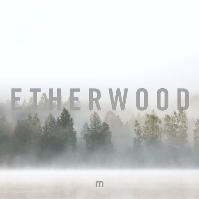 In Stillness (Album Sampler) cover