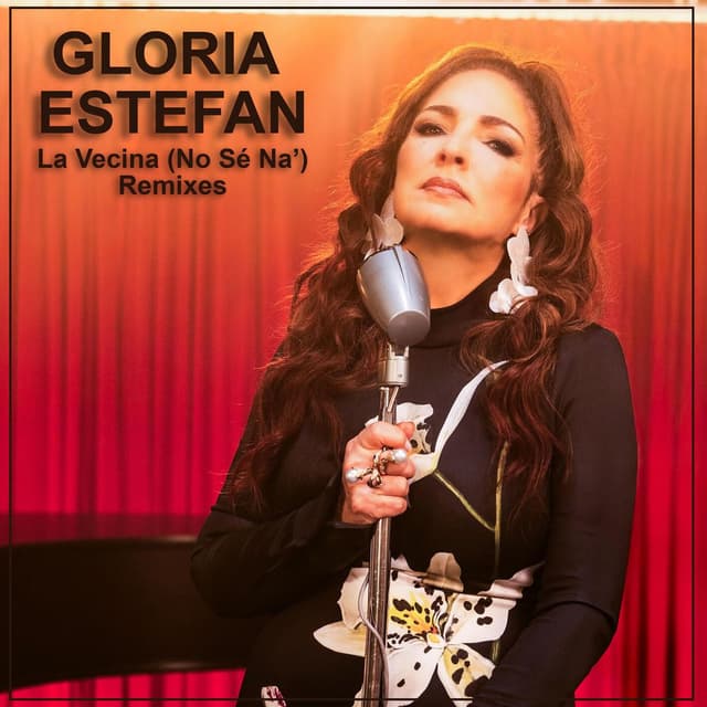 La Vecina (No Sé Na') - Remixes cover