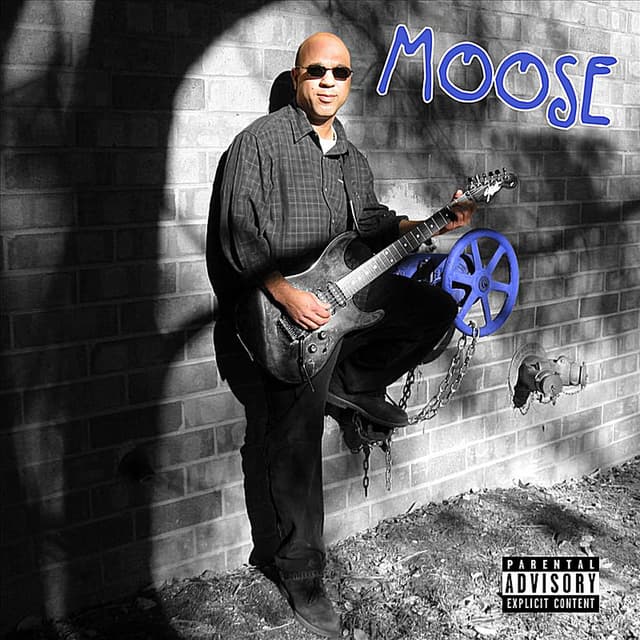 Moose cover