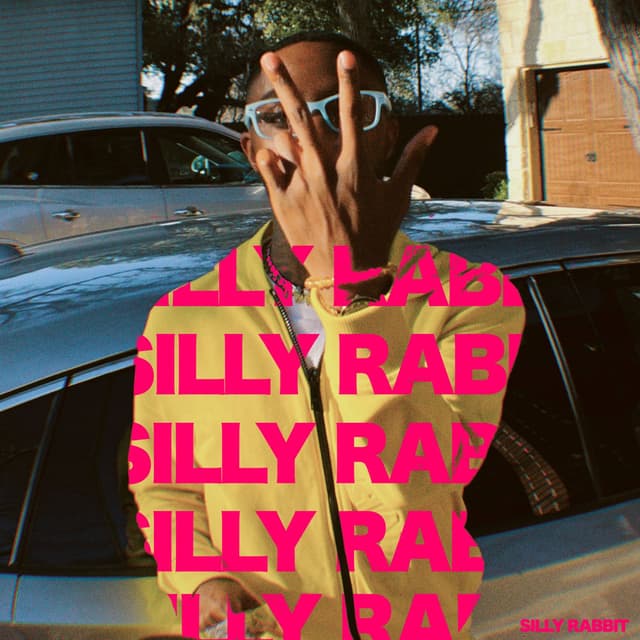 Silly Rabbit Remix cover