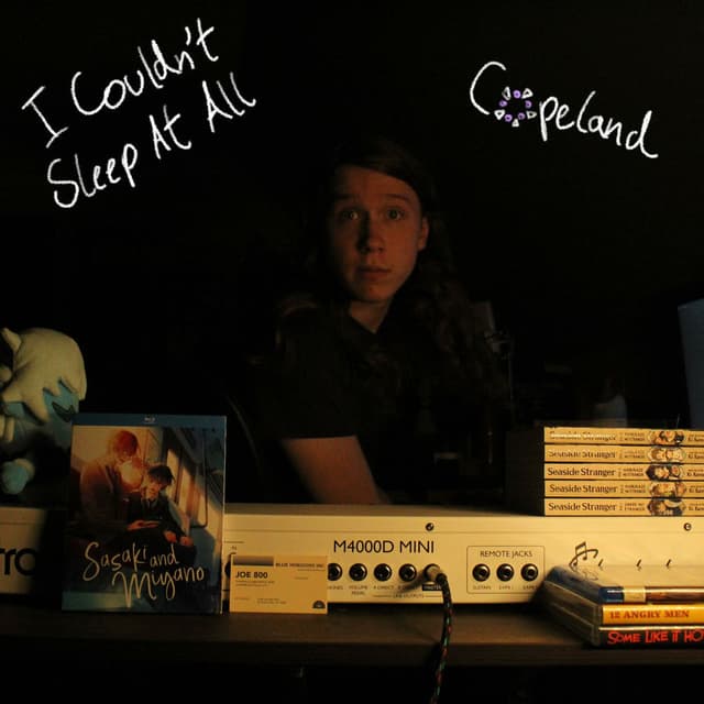I Couldn't Sleep At All cover