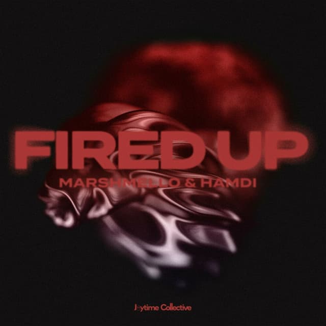Fired Up cover