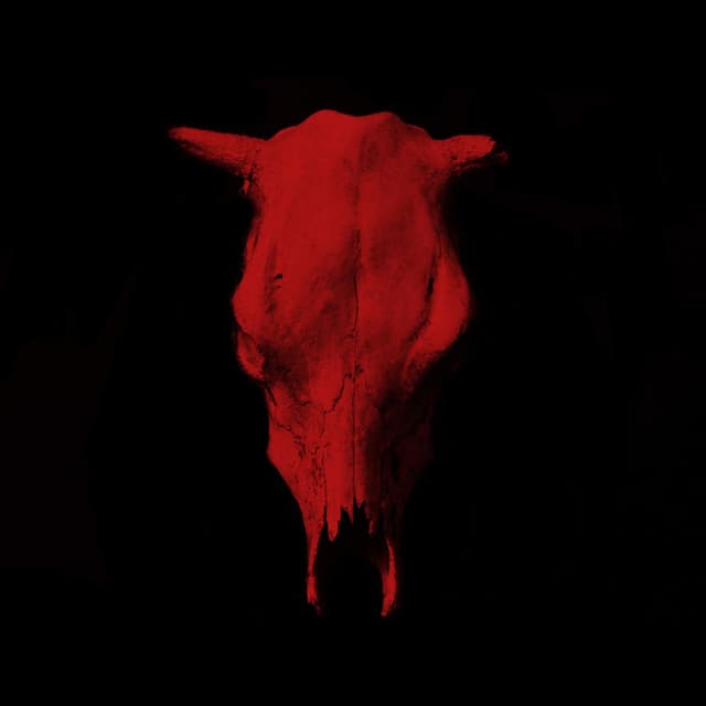 Reklamlar cover