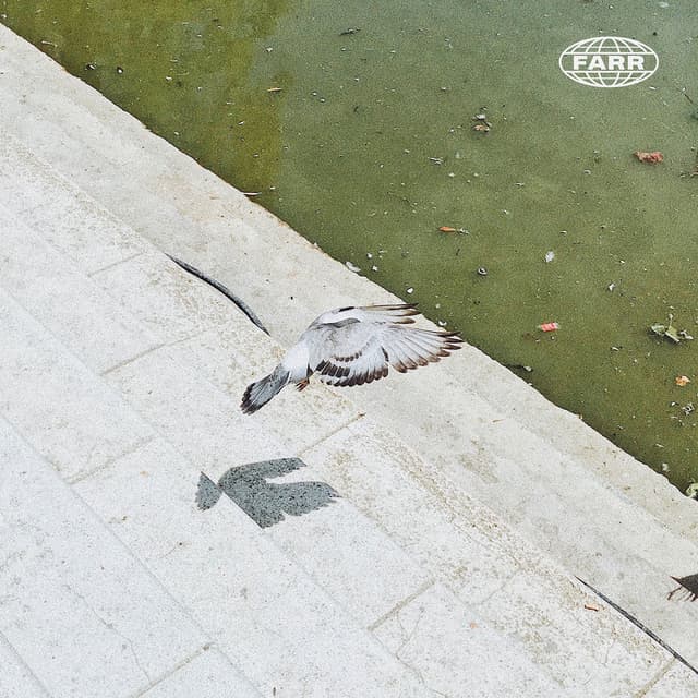 Freedom (Insightful Remix) cover