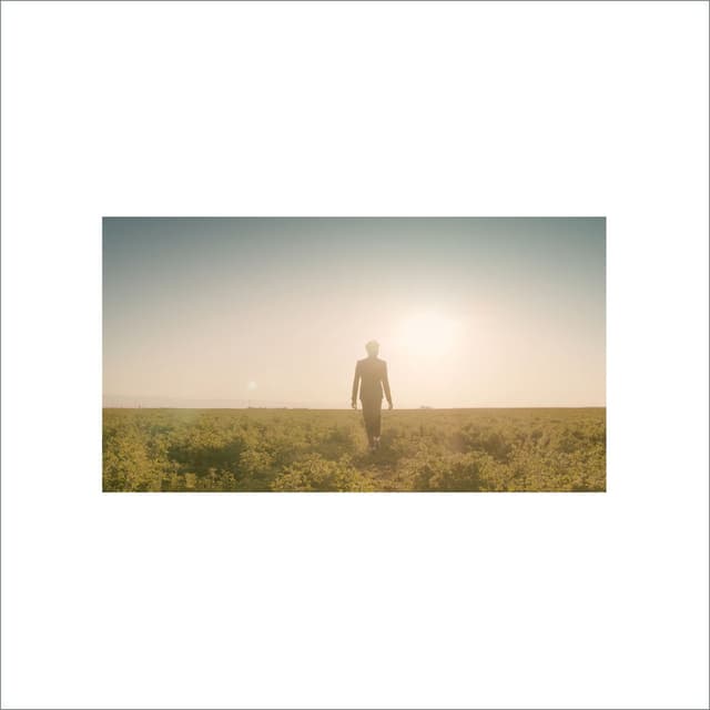 Like a Dream cover