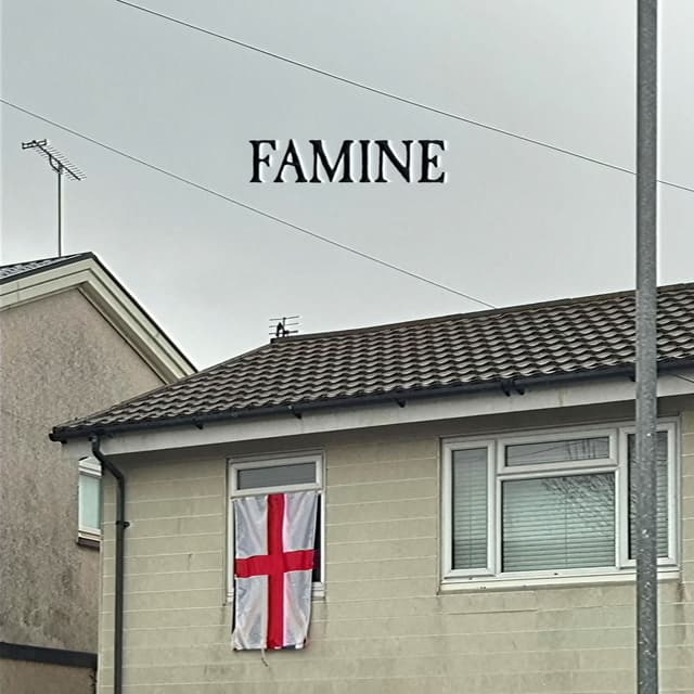 Famine cover
