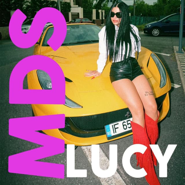 Mds (Snippet Version) cover