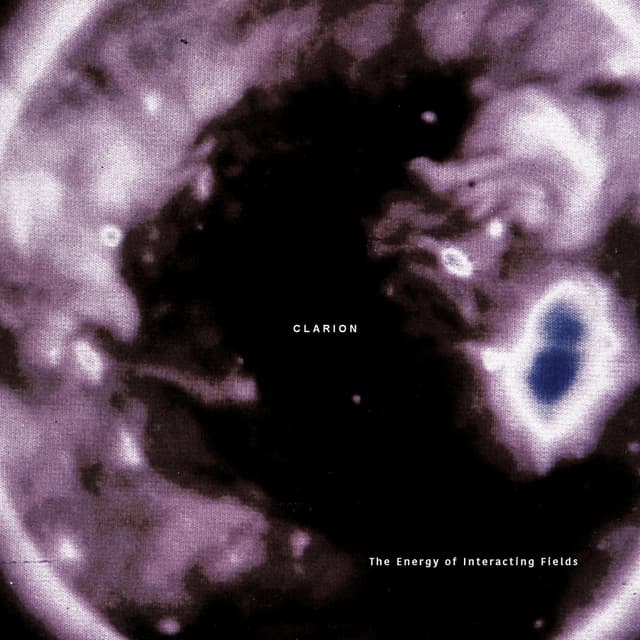 The Energy of Interacting Fields cover