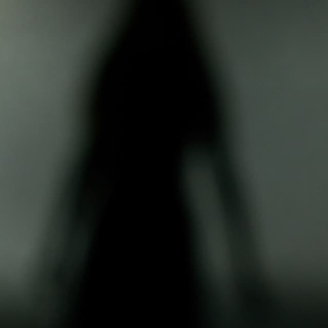 Shouting Within cover