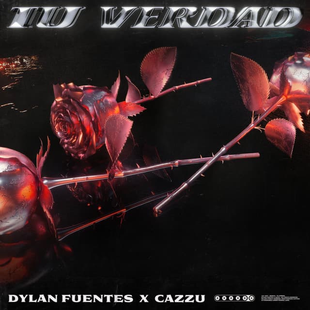 Tu Verdad cover