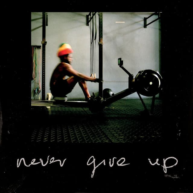 Never Give Up cover