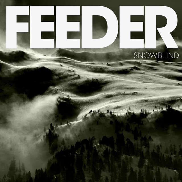 Snowblind cover