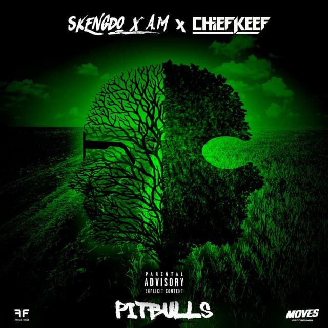 Pitbulls cover