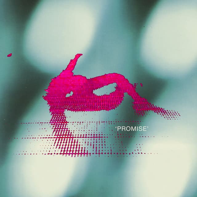 Promise cover