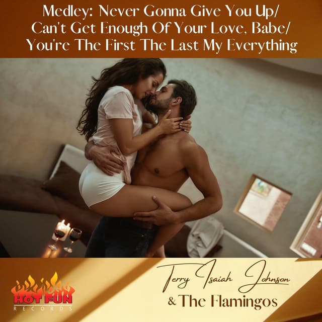 Medley: Never Gonna Give You Up / Can't Get Enough of Your Love, Babe / You're the First the Last My Everything cover