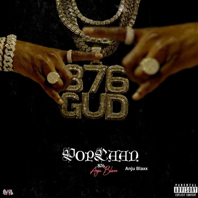 876 cover