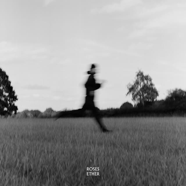 Roses Ether cover