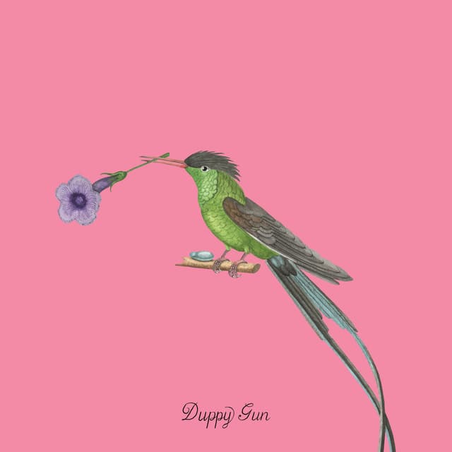 Duppy Gun album cover