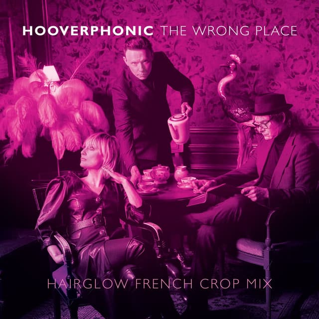 The Wrong Place (Hairglow French Crop Mix) cover
