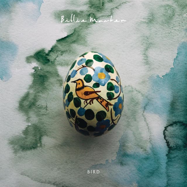 Bird cover