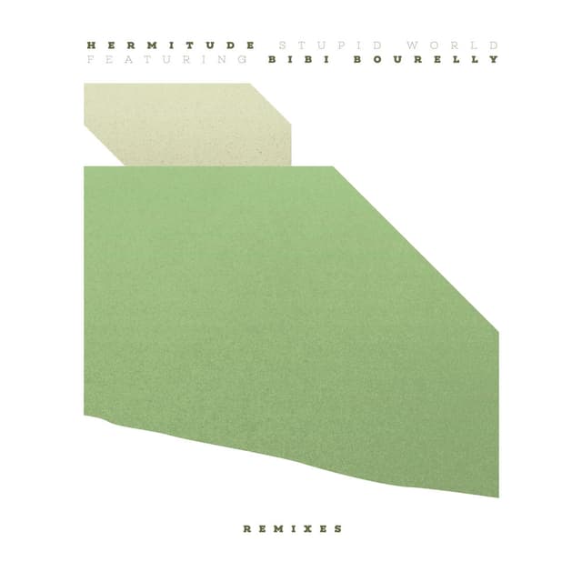 Stupid World (Remixes) cover