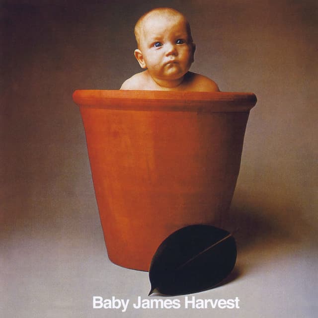 Baby James Harvest (2023 Expanded & Remastered) cover