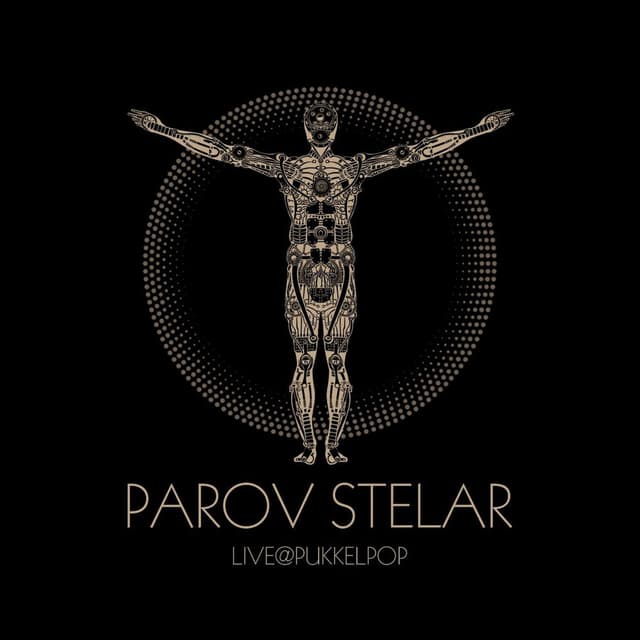 Live @ Pukkelpop album cover