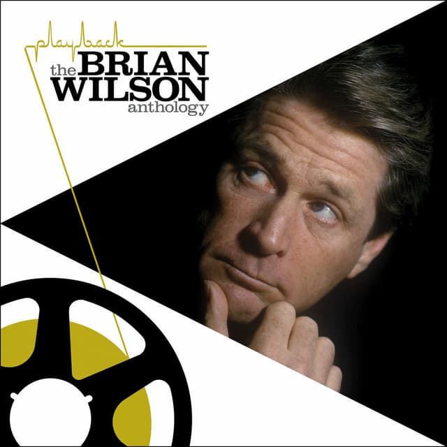 Playback: The Brian Wilson Anthology cover