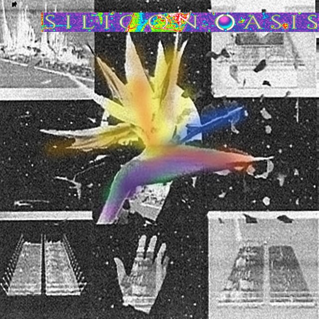 Silicon Oasis cover