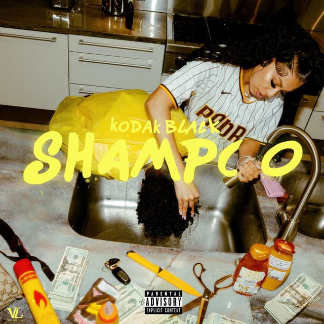 Shampoo cover