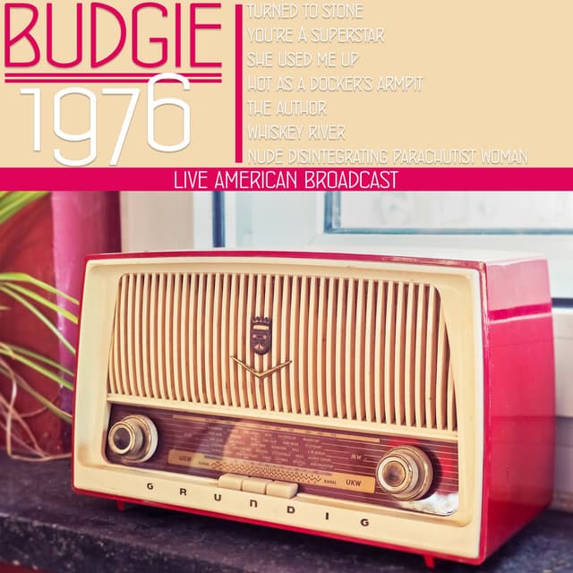 Live America Broadcast - 1976 (Live) cover
