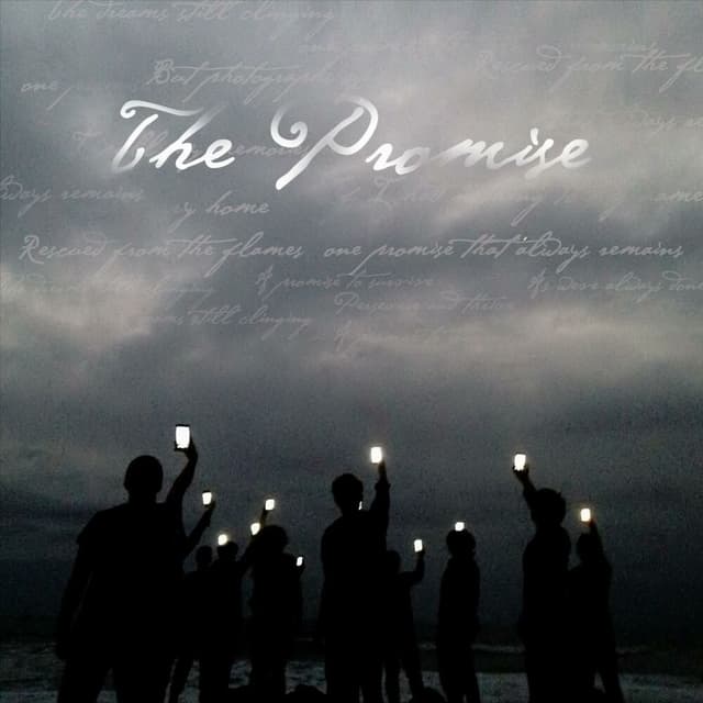 The Promise cover
