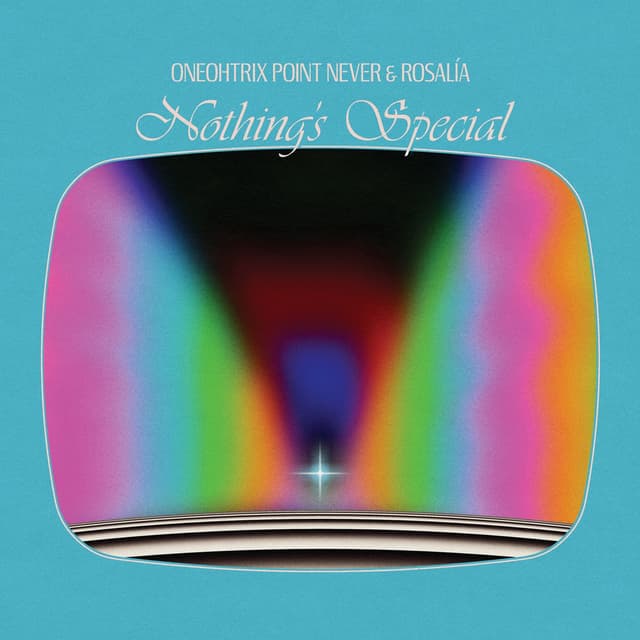 Nothing's Special album cover