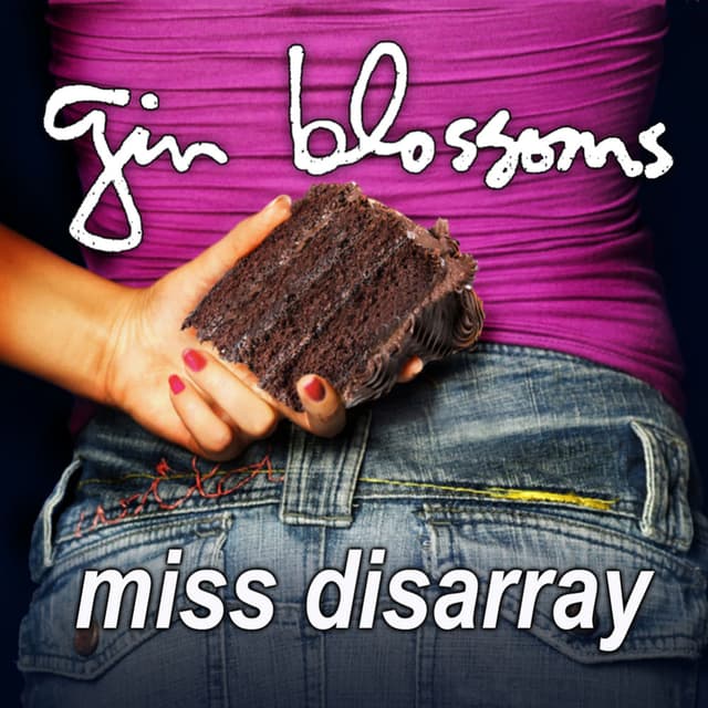 Miss Disarray album cover