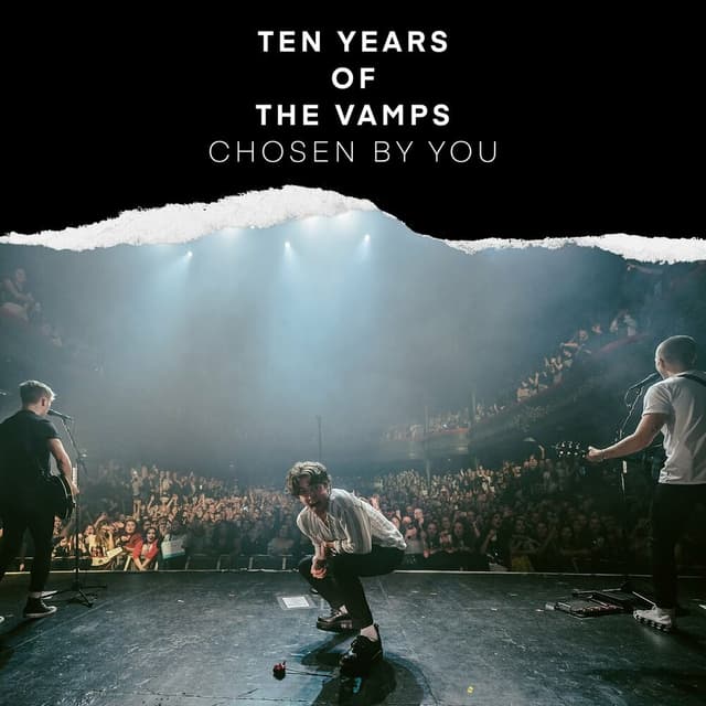 Ten Years Of The Vamps - Chosen By You cover