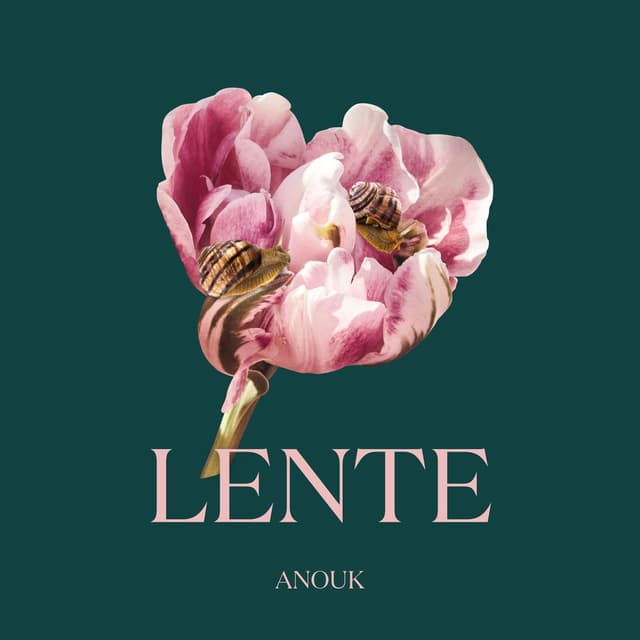 Lente cover