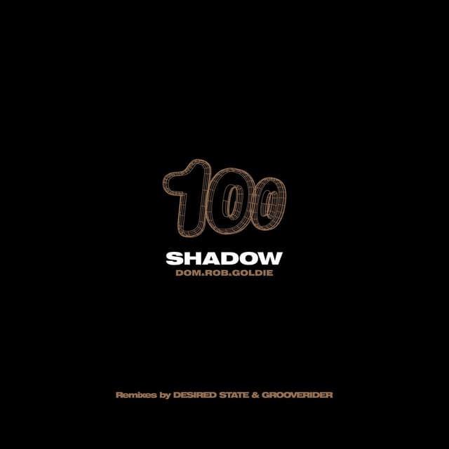 Distorted Dreams (Desired State Remix) / The Shadow (Grooverider Jeep Mix) cover