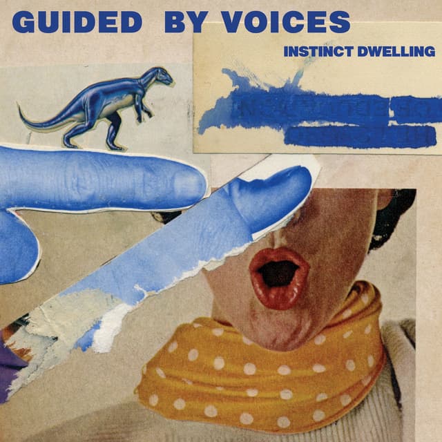 Instinct Dwelling cover