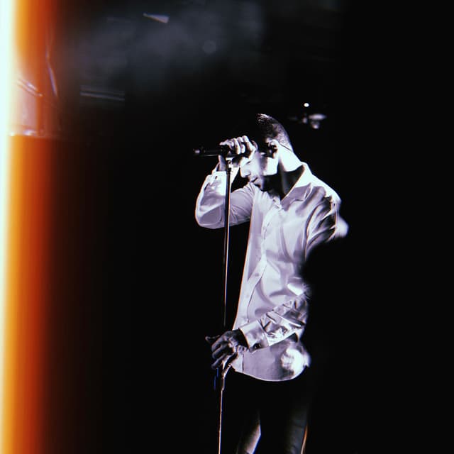Roses cover