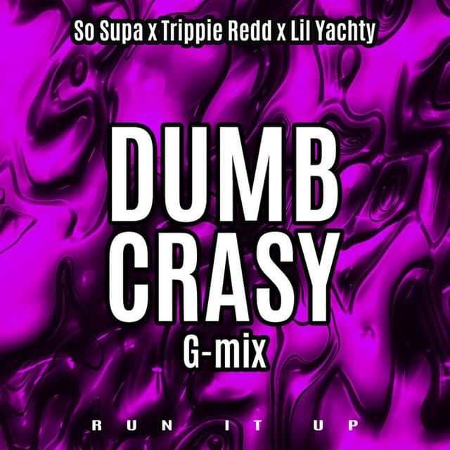 Dumb Crasy (G-Mix) cover