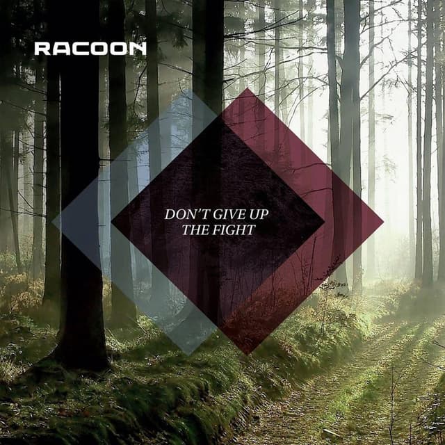 Don't Give Up The Fight cover