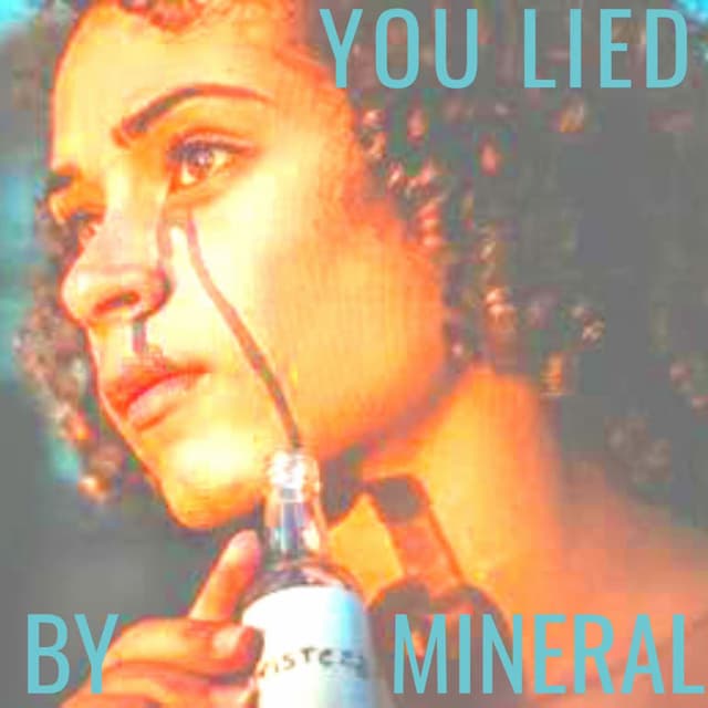 You Lied cover