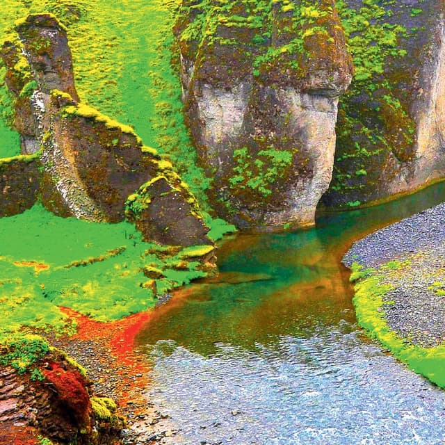 Rainforest cover