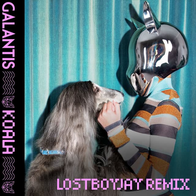 Koala (LOSTBOYJAY Remix) cover