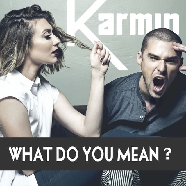What Do You Mean? - Single cover