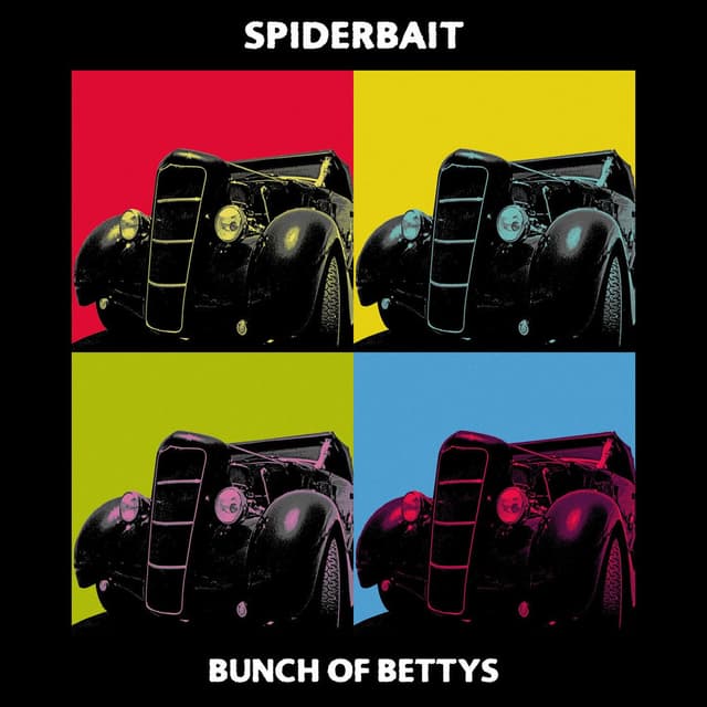 Bunch Of Bettys cover