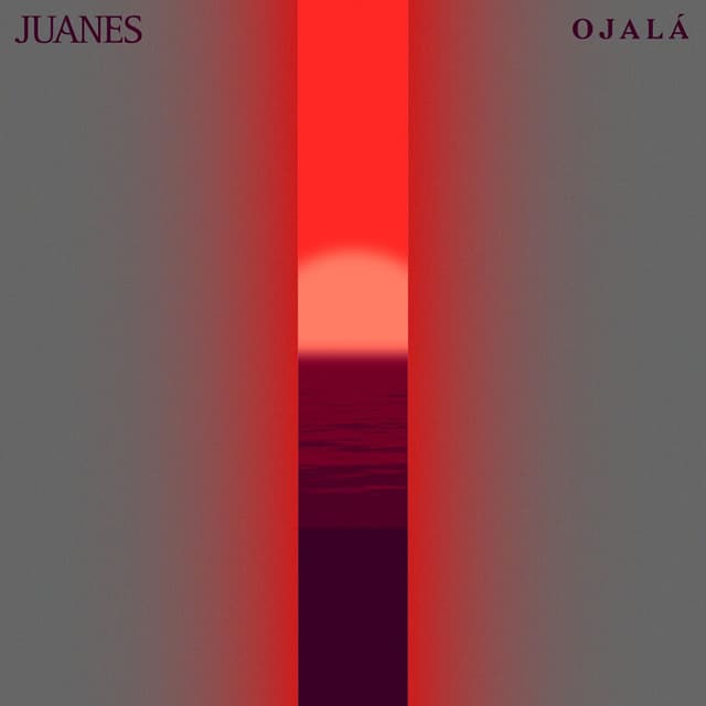 Ojalá cover