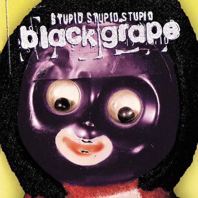 Stupid Stupid Stupid album cover